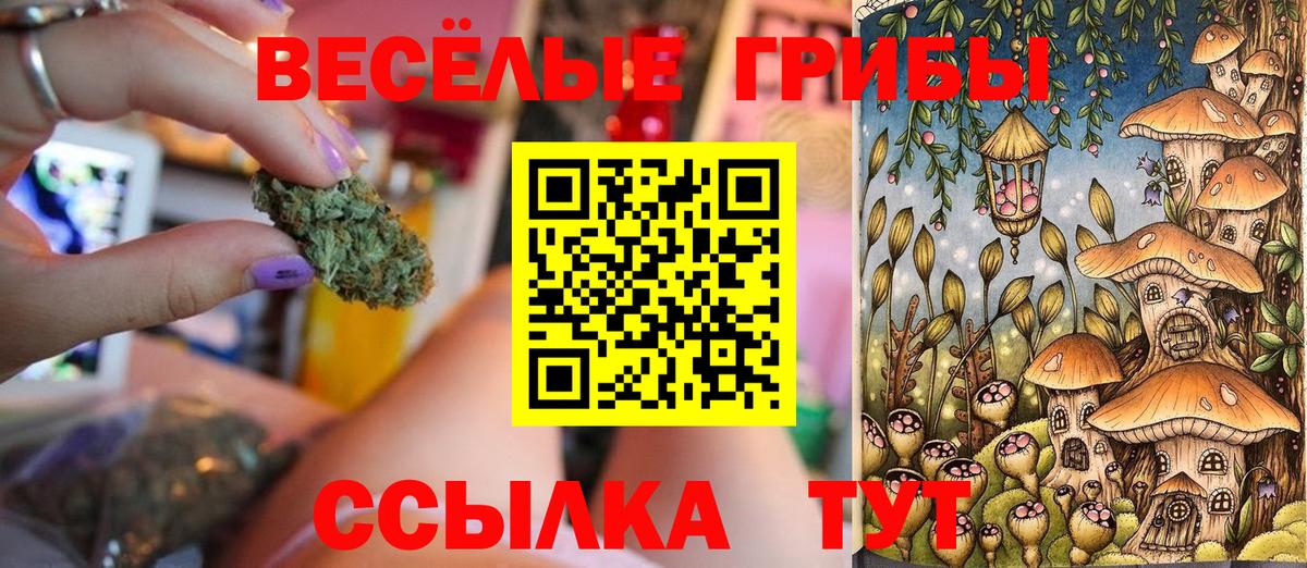 Псилоцибиновые грибы Magic Shrooms  Псилоцибиновые грибы прущие грибы  Вход с VPN  Чернушка 