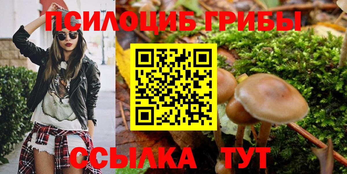 Псилоцибиновые грибы мухоморы Чернушка